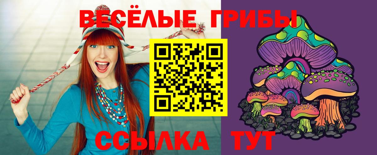 Псилоцибиновые грибы мицелий Воскресенск