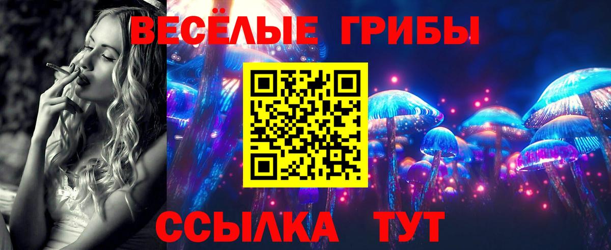 Псилоцибиновые грибы GOLDEN TEACHER  Вход с VPN  Воскресенск 